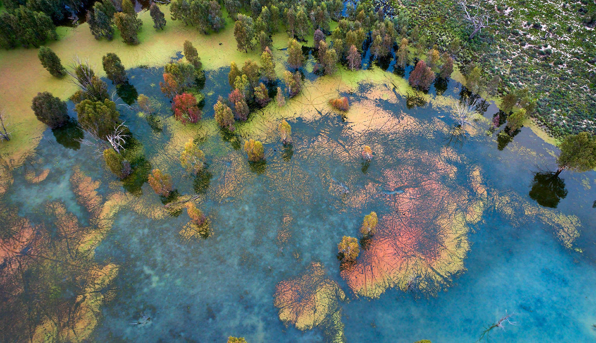 Aerial photograph of wetlands area in dry outback Australia showing an unusually colourful side to the normally desert area. Photo by excitations.photography Mildura